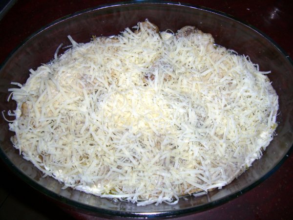 1-CIMG9485